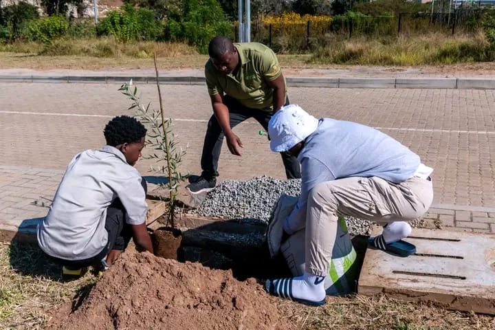 Artificial Grass for Play Areas